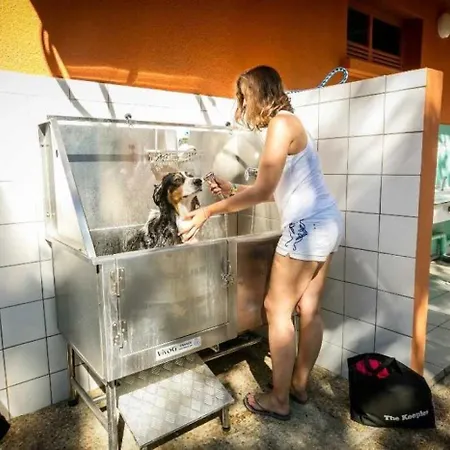 4 Etoiles - Piscine - Ccaaeag