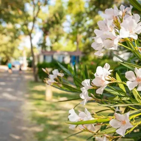 4 Etoiles - Piscine - Ccaaeag مكان تخييم