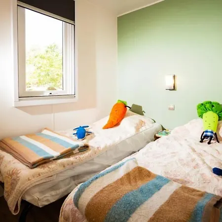 Zecamping 4 Familial Piscine Chauffee Club Enfant Animations Au Calme 4* Canet-en-Roussillon