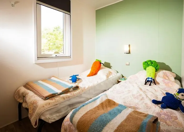Zecamping 4 Familial Piscine Chauffee Club Enfant Animations Au Calme 4* Canet-en-Roussillon