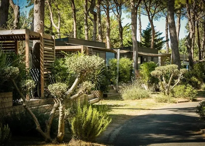 Zecamping 4 Familial Piscine Chauffee Club Enfant Animations Au Calme Canet-en-Roussillon
